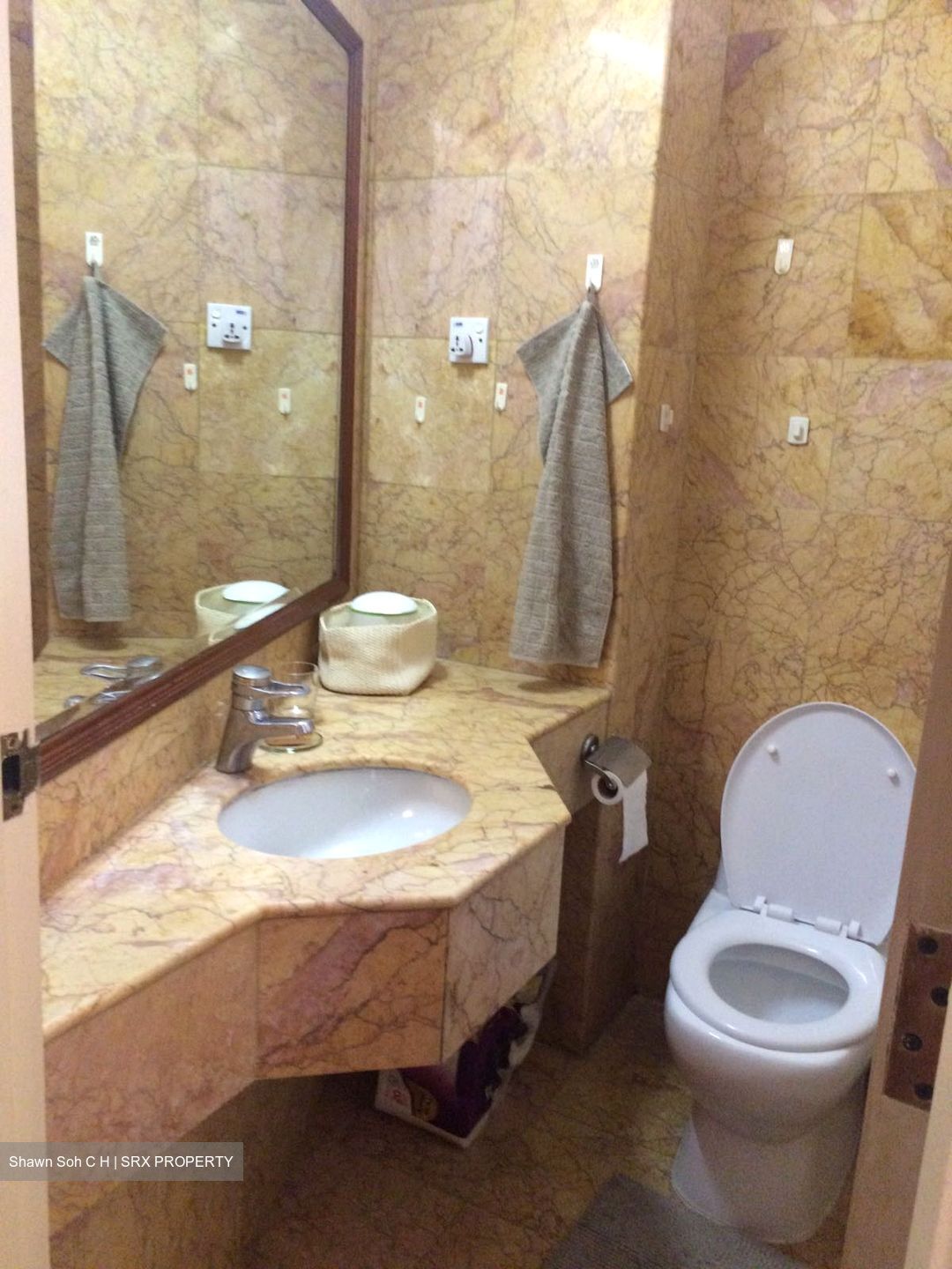 Nineteen Shelford Road (D11), Condominium #447956251